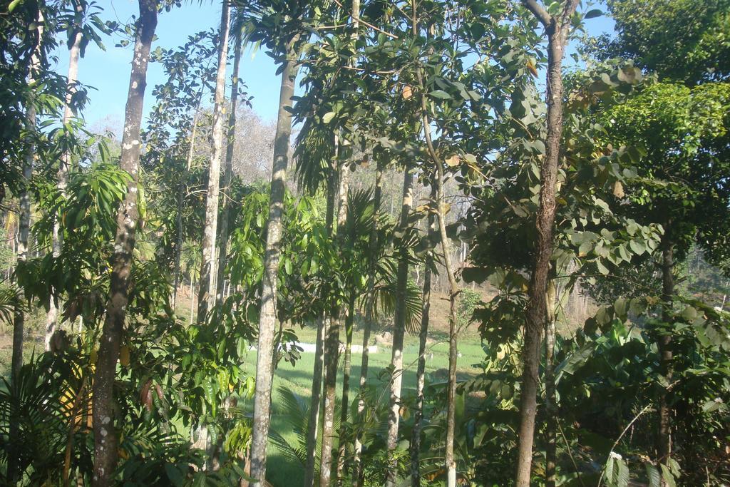 Wayanad Gate Resort Mananthavady Exterior foto