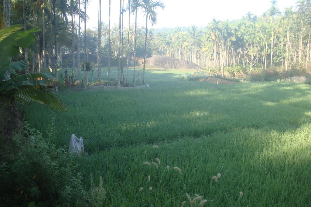 Wayanad Gate Resort Mananthavady Exterior foto
